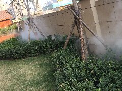 <b>郑州惠济区实验幼儿园景观造雾</b>